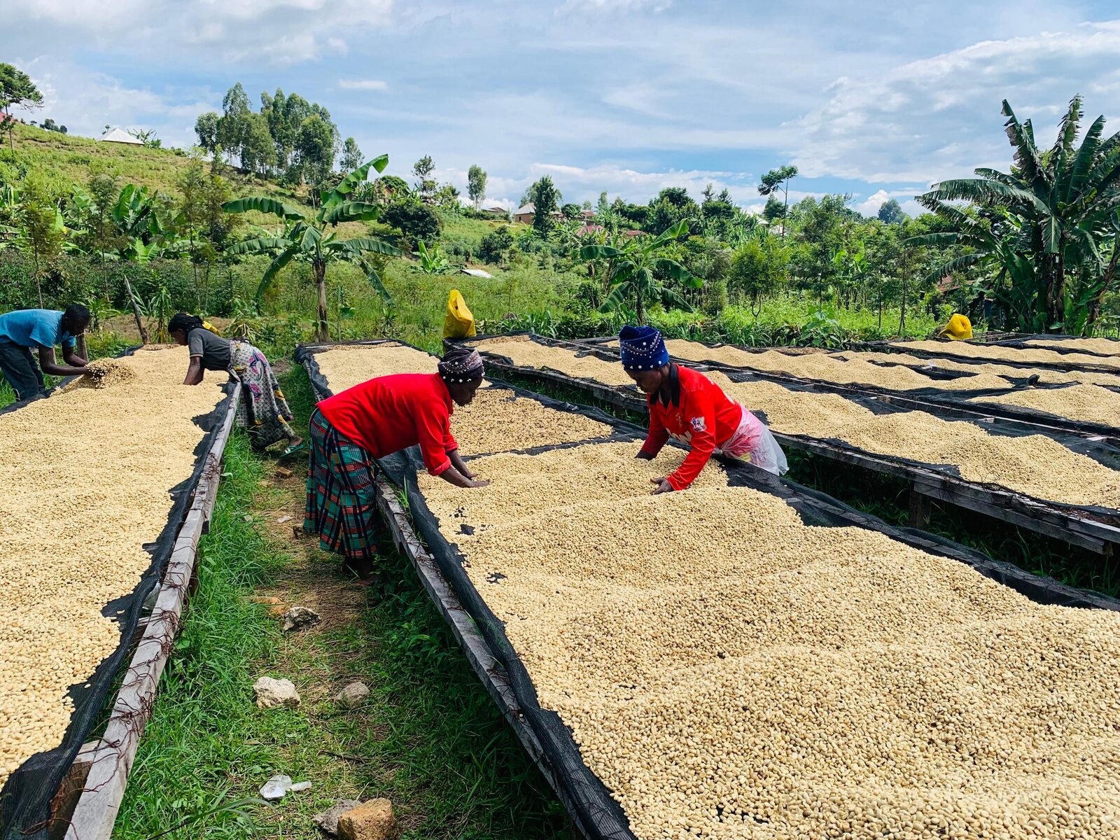 Do we drink our own coffee?