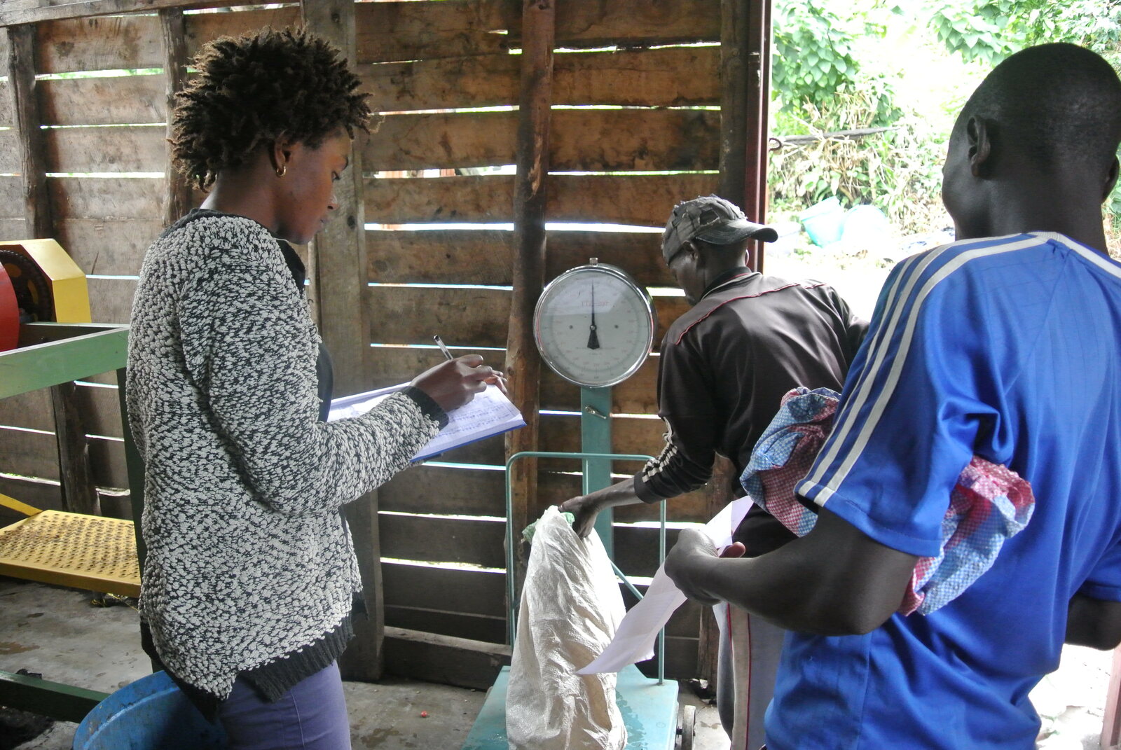 Cherry being weighed and recorded at a washing station